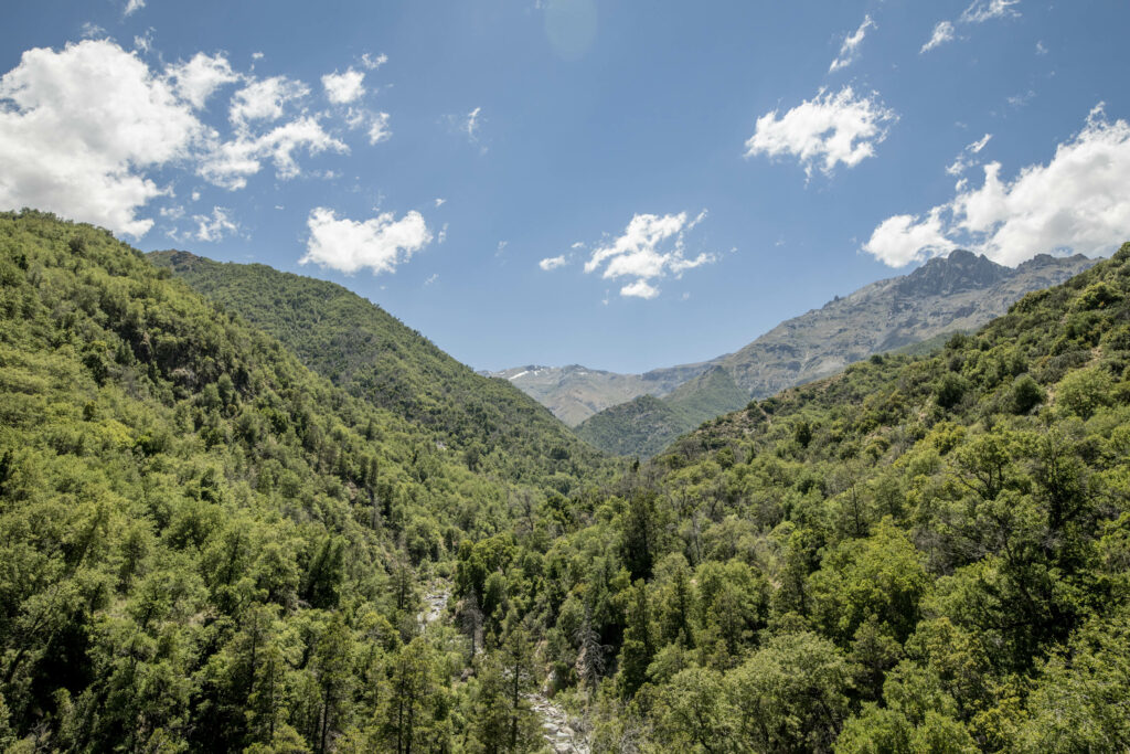 Parque Cuenca Andina